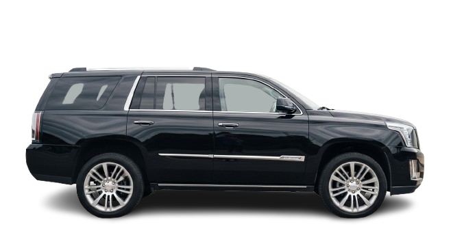 Whisk_d54c1d6db9cf7449ade4af7005977e4fdr-removebg-preview